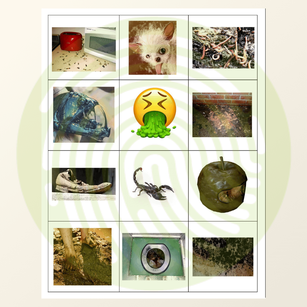 Ewww! Thats Disgusting Folder Game Gross Card Examples