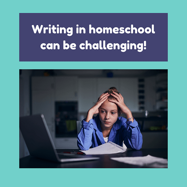 A homeschooled student is struggling in writing.