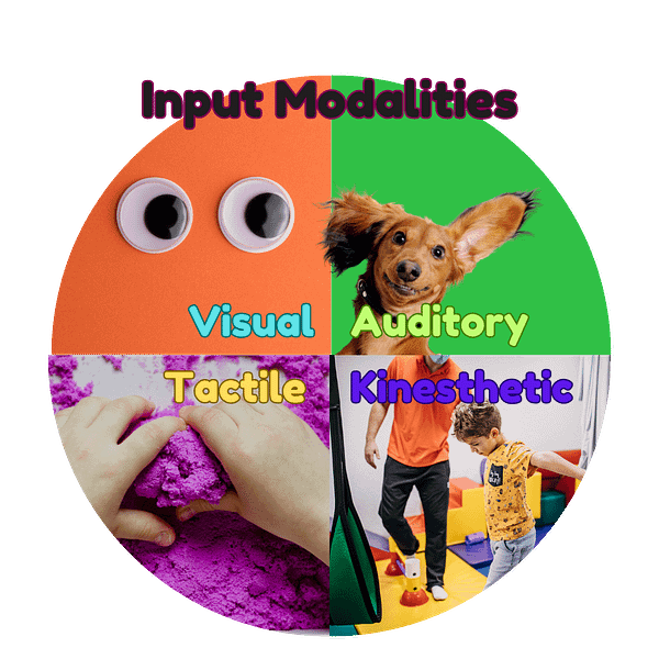 Input Modalities for homeschooling: Visual, auditory, tactile, and kinesthetic.